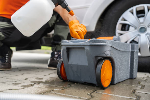 Best Organic Lawn Care Solutions  in August, CA